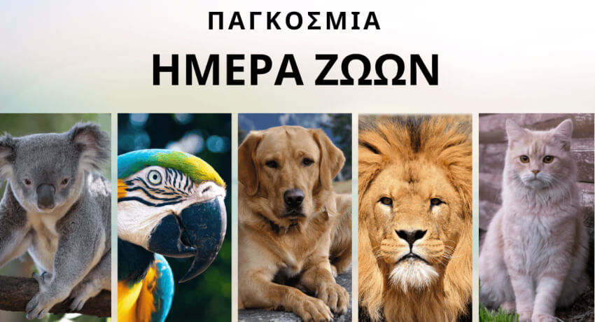 4 Οκτωβρίου 2025 - Παγκόσμια Ημέρα των Ζώων