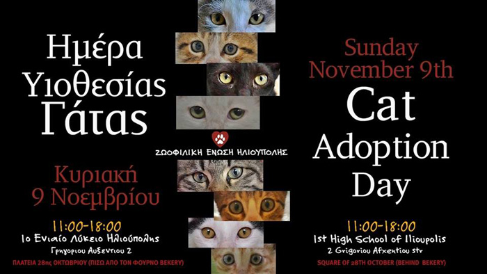 cat-adoption-day full